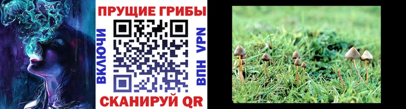 наркотики  Рославль  Галлюциногенные грибы ЛСД 